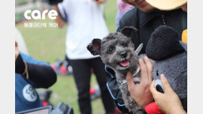 文 대통령 애견 토리, 개식용 반대집회 등장…“먹지 말고 안아주세요”