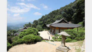 한계단 한계단 오르면 소백산맥의 수려함이 한 눈에