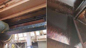 속초 ‘만석닭강정’ 위생기준 위반 적발…후드에 기름때·선반에 음식 찌꺼기