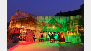 반딧불이랑 놀고 노천카페서 치맥… 밤마다 축제!