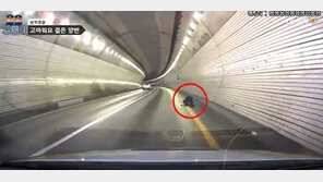 터널 속 피흘리며 쓰러진 할아버지 ‘위험천만’…무슨 사연?