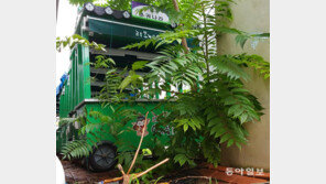 2년만에 문닫은 ‘대구 1호 야시장’