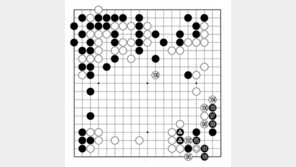 [바둑]알파고 vs 알파고 특선보… 피해 완전 복구