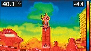 “카페-마트가 천국” 폭염난민 대이동