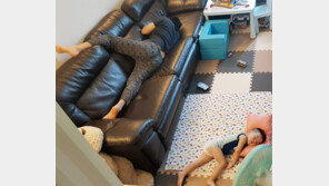 [고양이 눈]발가락이 닮았네