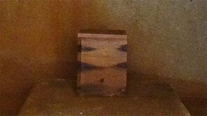 “익산 쌍릉 대왕릉 주인은 선화공주 아닌 백제 무왕”