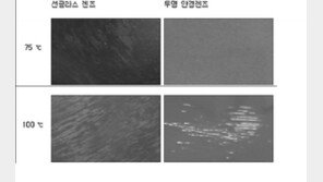 “차 안에 두면 안돼요”…여름철 선글라스 보관법