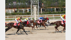 한국경주마, 싱가포르에 뜬다