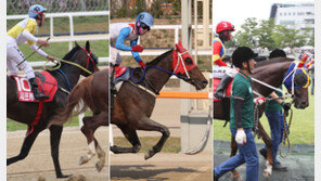 일간스포츠배, 1800m ‘장거리 신흥강자’ 누구냐?