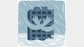 [날씨 이야기]최후의 재난대책 ‘날씨보험’