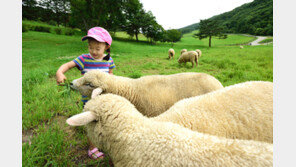 저 푸른 초원위 서늘한 바람, 숨만 쉬어도 절로 ‘힐링’