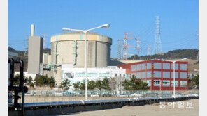 ‘탈원전’ 1년만에 멈춰야 할 요인 생겼다…日, 재가동 추진 이유는?