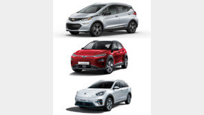 “마음껏 달린다”…장거리 전기차 본격 경쟁 시대