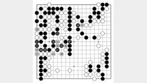 [바둑]알파고 vs 알파고 특선보… 간신히 살았으나