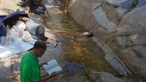 [고양이 눈]최고의 피서