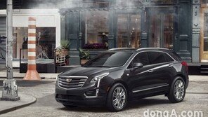 캐딜락, 개별소비세 인하 가격 적용… 54만~151만원↓