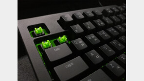 [IT쇼핑가이드] 키보드편 - 3. 기계식 키보드