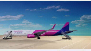 “화장실 지금 못 쓴다고?” 여객기 바닥에 소변 본 여성 승객 ‘황당’ 