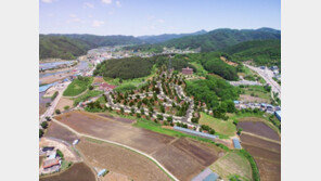 양평 전원마을… 8800만원∼1억원대