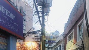 ‘한여름 밤의 낭만’ 전국 포장마차 거리