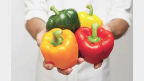 자연에서 얻은 비타민C 파프리카, 과일처럼 즐기세요!