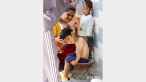 [고양이 눈]아빠의 솜씨