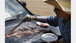40.3도 기록한 경북 영천서 직접 삼겹살 익혀봤더니…