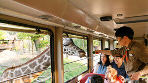 에버랜드, ‘주토피아 탐험대’ 선봬