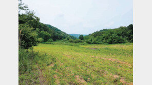 남-북-미 화해무드로 민통선 내 토지에 이목 집중