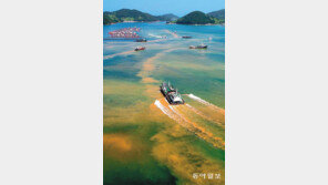 동시다발 폭염 ‘불덩이 지구’