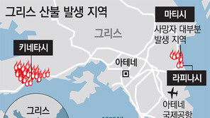 도로 타고 시뻘건 불길 도시 삼켜… 무조건 바다로 뛰어들었다