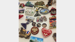 [고양이 눈]작은 세계