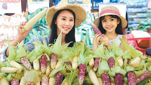 “강원도 찰옥수수입니다”