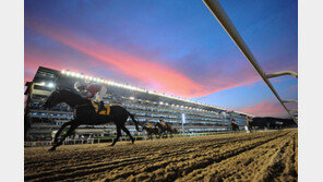 렛츠런파크 서울에서 바캉스를