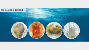 인도양 2000m 심해서 300도 열수 치솟는 ‘활화산’ 찾았다