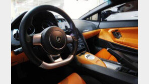 차에 치인 애견 치료비 욕심내다…슈퍼카 수리비 물어준 사연