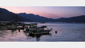 [책의 향기]다시 꿈꾸기 위해 우리는 포구로 간다