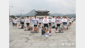 [청계천옆 사진관] 제발 도살 하지 말아주세요!
