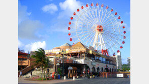 노랑풍선, ‘일본 기획전’ 진행