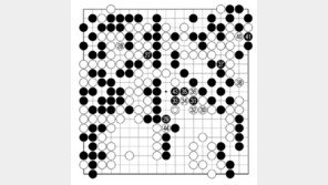 [바둑]알파고 vs 알파고 특선보…마지막 저항도 끝내…