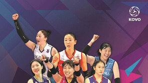 여자배구 첫 단독 컵대회, ‘보령·한국도로공사컵’ 5일 개최