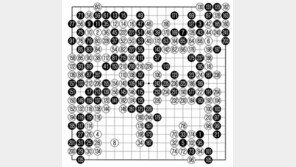 [바둑]알파고 vs 알파고 특선보… 견실한 ‘알파고제로 40’