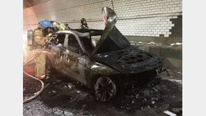 ‘툭하면 불나는 BMW’ 첫 집단소송
