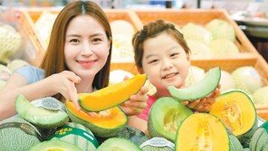 “항산화 물질 풍부 국산멜론 드세요”
