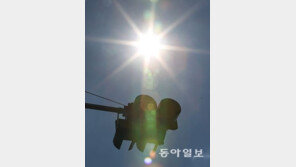 반기성 센터장 “서울 오늘 39도, 대구보다 더워…태풍 종다리 때문”