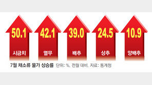 폭염에 시금치값 50%-배추 39% 급등… 돼지고기-우유도 올라 밥상물가 비상