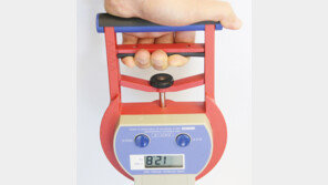 손으로 쥐는 힘 강해야 삶의 질도 높아진다