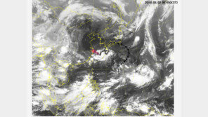 태풍 종다리, 사상 최악의 폭염에 한 몫…끝내 ‘나쁜 태풍’ 결말