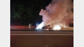 ‘1일 1불’ BMW 520d, 또 화재… 운전자 “차량 앞부분서 불길 치솟아”