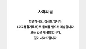 김성모 “물의 일으켜 죄송…모든 게 제 불찰” 베끼기 논란 공식 사과